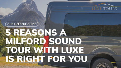 5 Reasons a Luxe Tour Is Right for Me