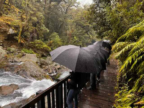 Luxe Tours Milford Sound Tour from Te Anau