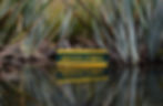 Mirror Lakes Photography, Luxe Tours NZ