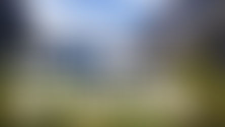 Article - The three best stops to Milford Sound