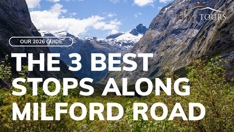 Article - The three best stops to Milford Sound