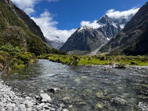 Monkey Creek, Milford Sound