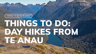 Day hikes from Te Anau article