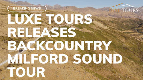Article on Luxe Tours 3-Day Milford Sound Overnight Tour