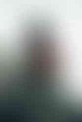 Kea Mountain Parrot, New Zealand, Luxe Tours NZ