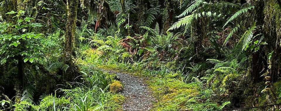 The Milford Track near Milford Sound in New Zealand