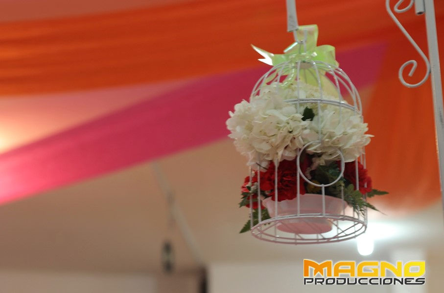 Miniatura: Jaulas vintage con flores