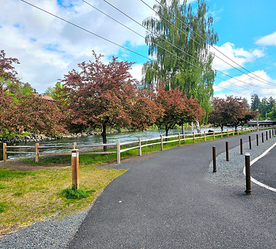 20250522_101106 (1).jpg