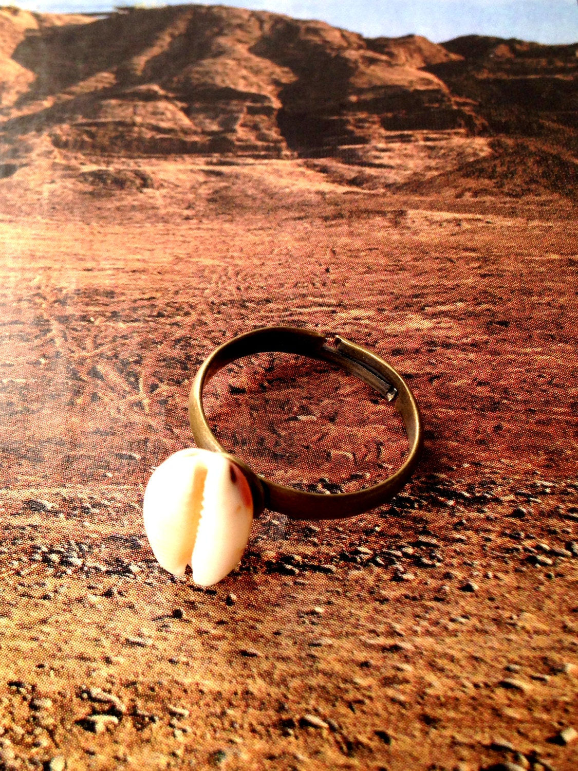 Bague NÉGUEV coquillage cauri miniature, anneau bronze
