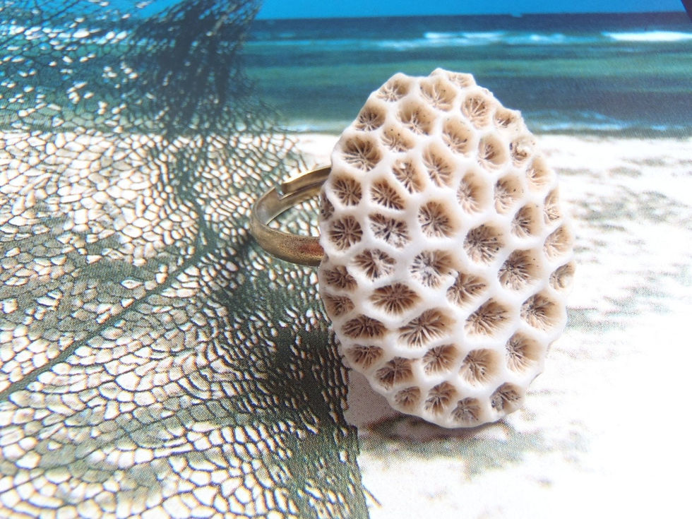 Thumbnail: Bague NID D'ABEILLE, en corail par All Things Natural