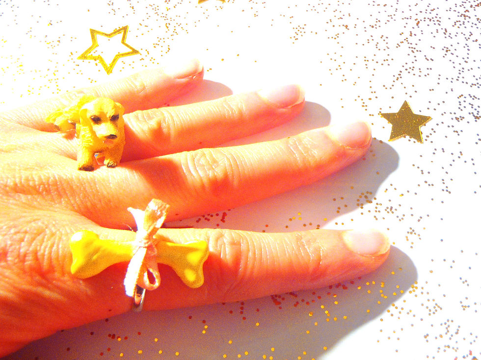 Thumbnail: Bague double LE CADEAU petit chien et son os miniature