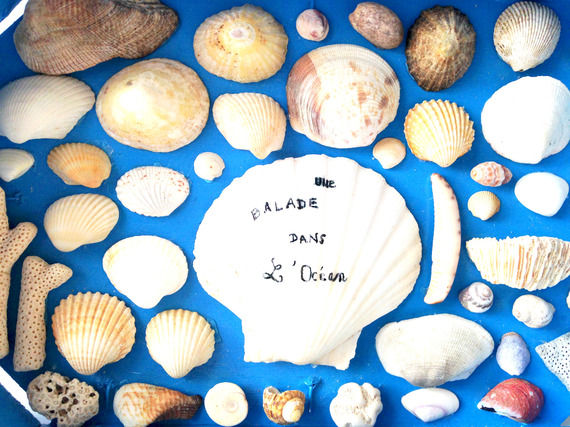 Thumbnail: Tableau coquillage Une BALADE dans L'OCÉAN