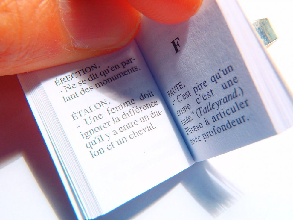 Thumbnail: Bague Mini Livre FLAUBERT le dictionnaire des idées reçues