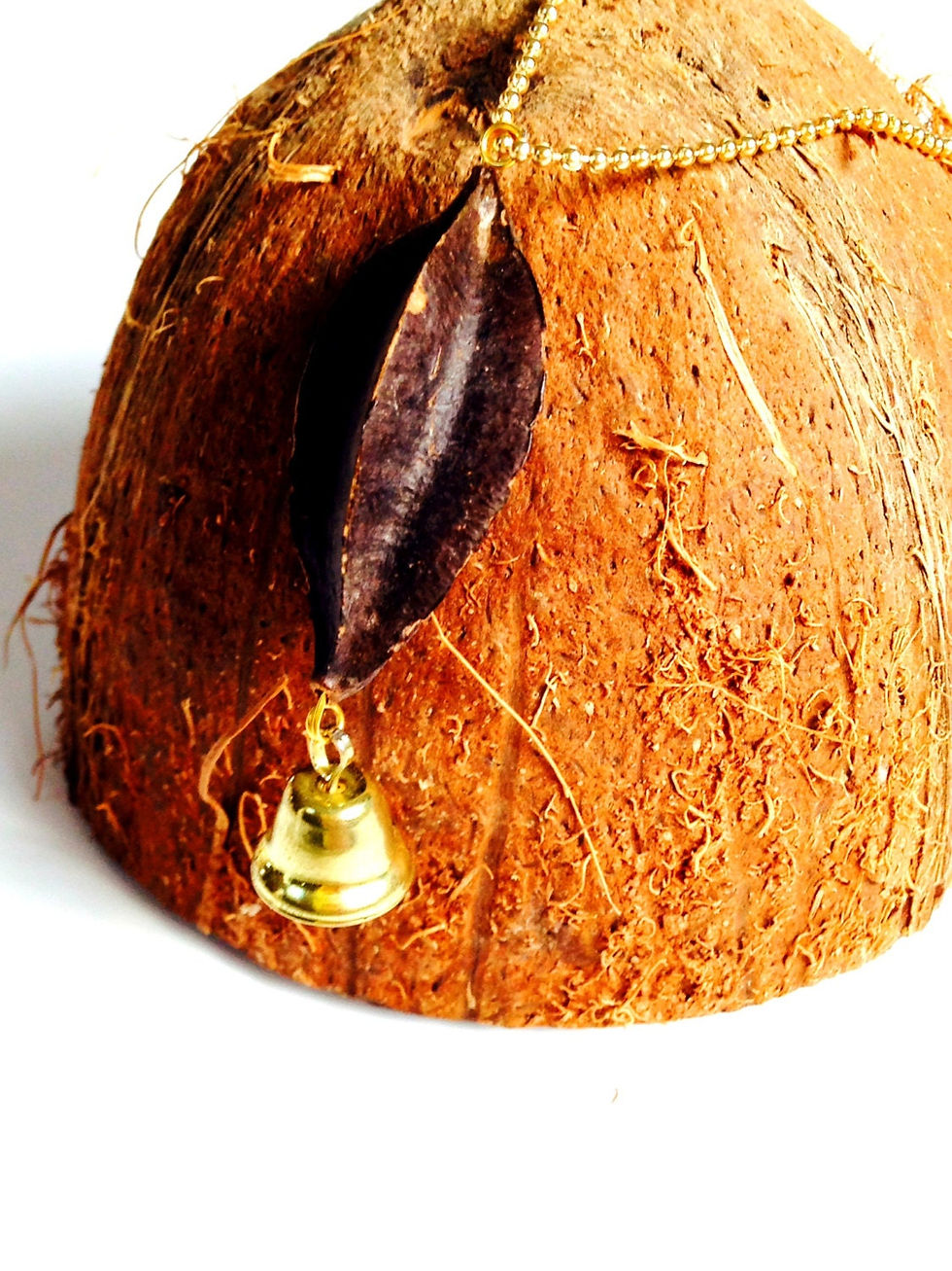 Thumbnail: Collier sautoir ART BRUT avec cosse et petite clochette dorée chaîne dorée
