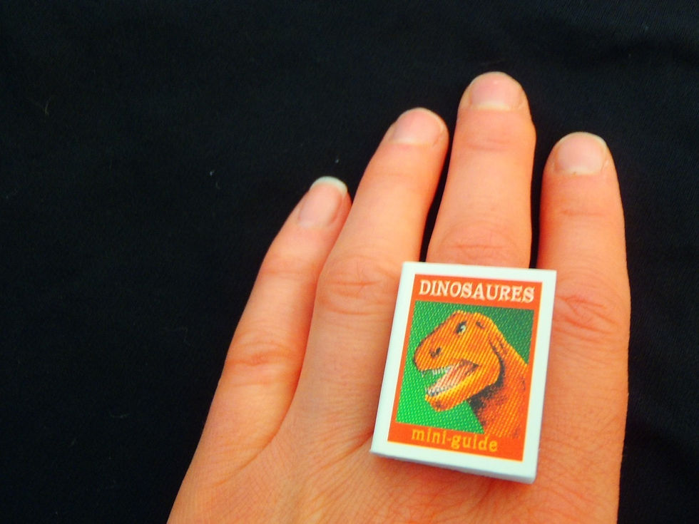 Thumbnail: Bague MINI LIVRE les dinosaures, ajustable
