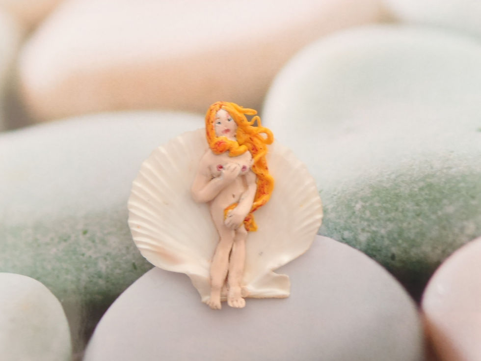 Thumbnail: Broche Coquillage BOTTICELLI, en relief, faite main avec un vrai coquillage