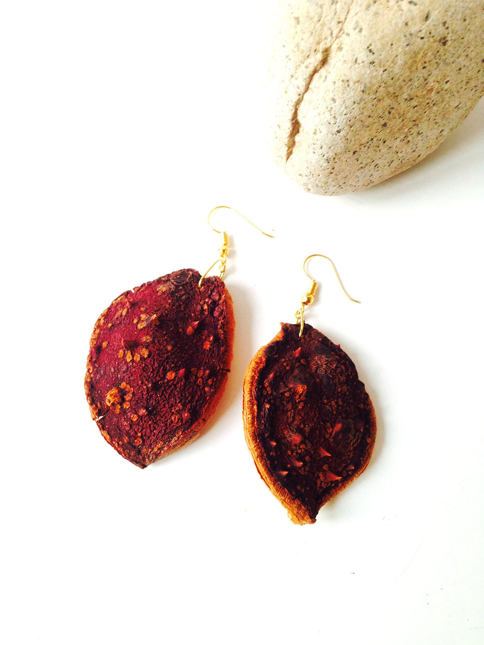 Thumbnail: Boucles d'oreilles ÉCORCES DE MARRON séchées moyen modèle.
