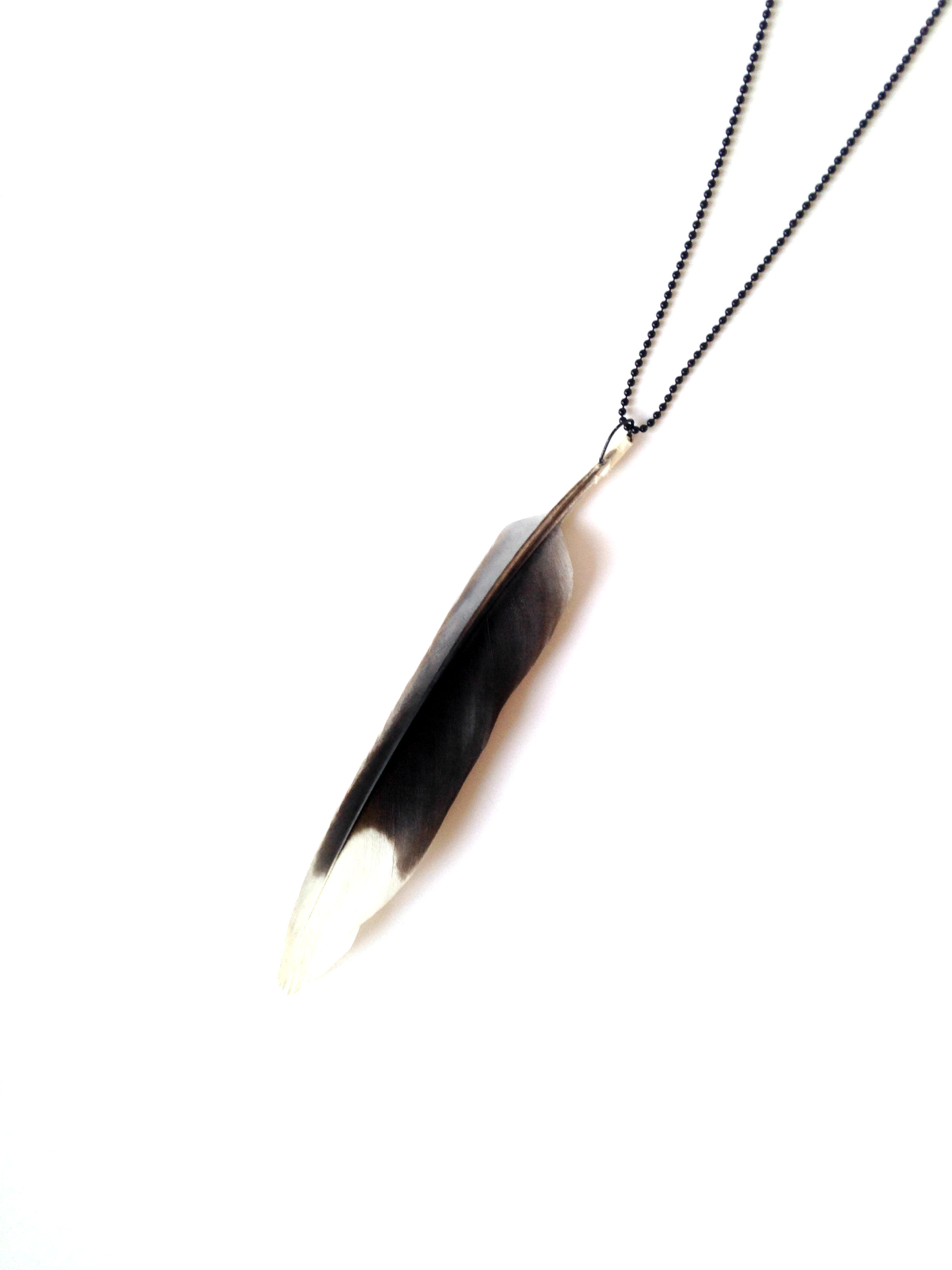 collier plume noire naturelle avec bout blanc, chaine noire