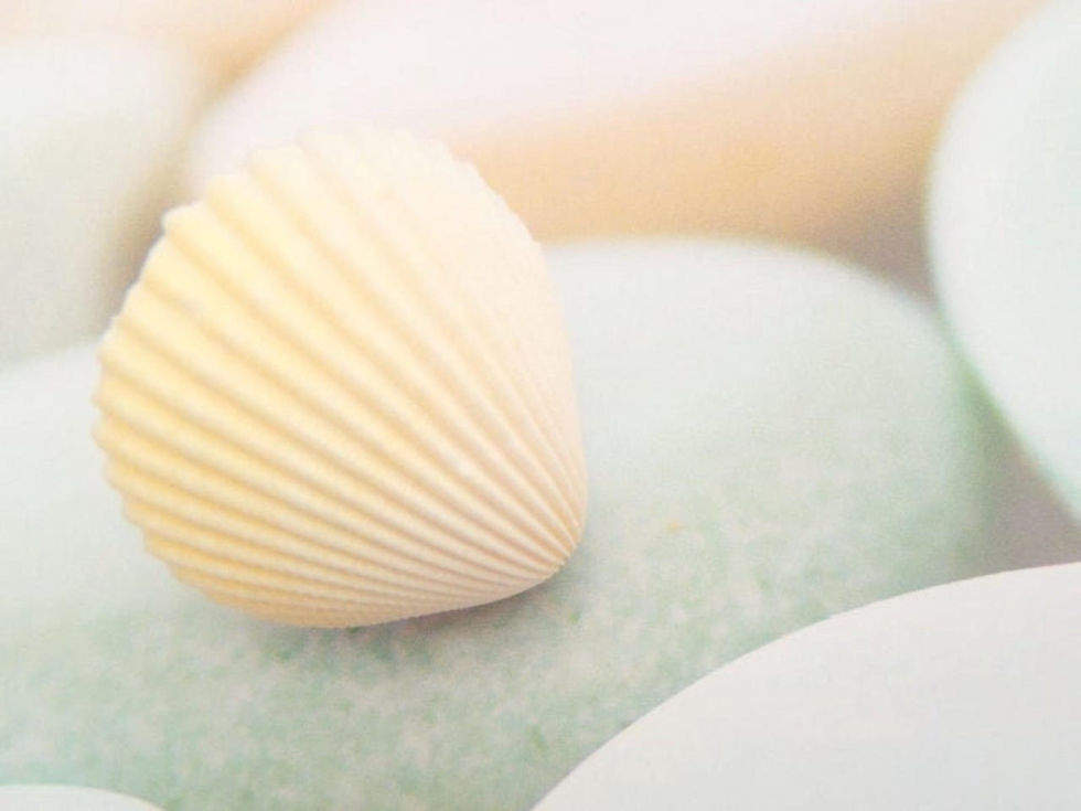 Thumbnail: Bague faite main NATURELLE grand coquillage blanc strié