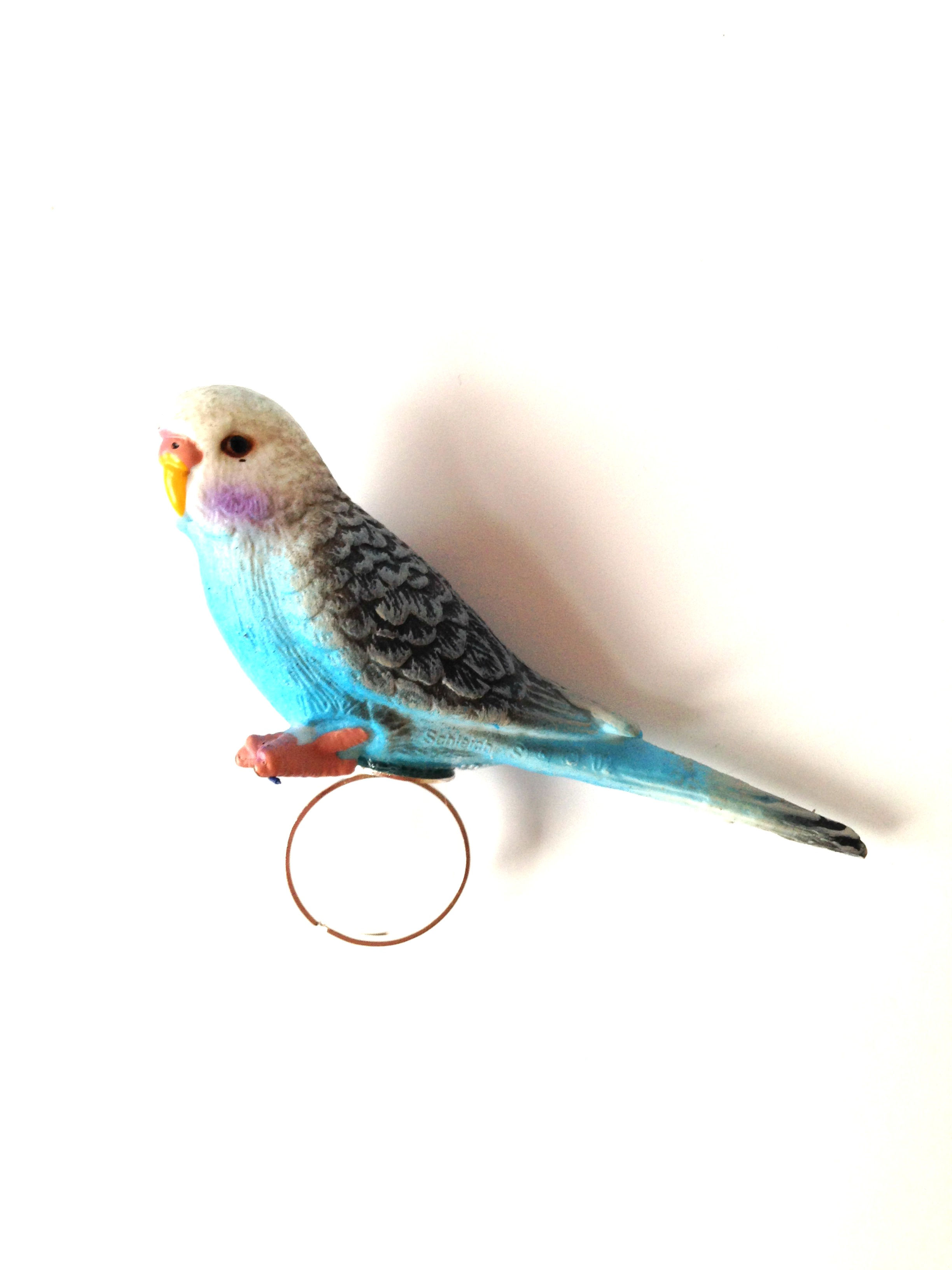 Bague LA PERRUCHE posée bleue