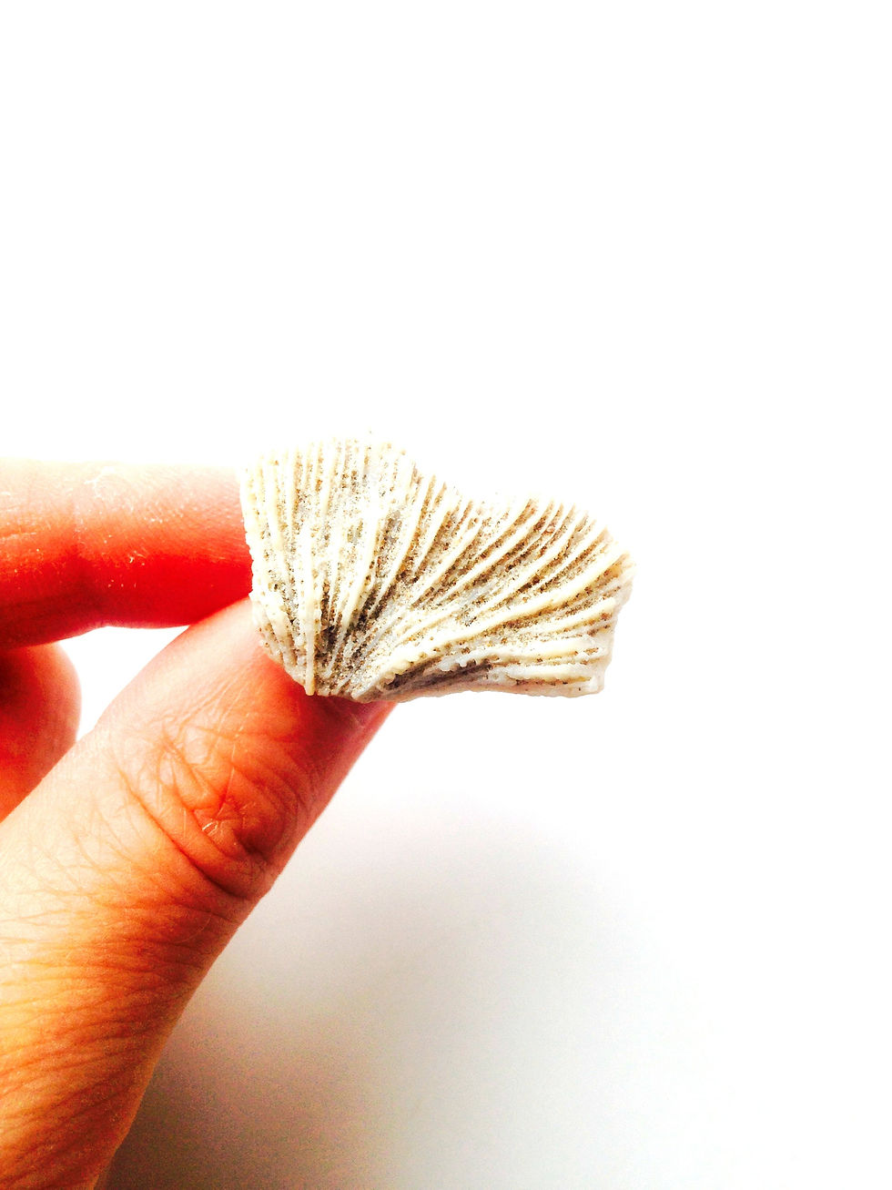 Thumbnail: Bague ENVERGURE en pierre de corail naturelle