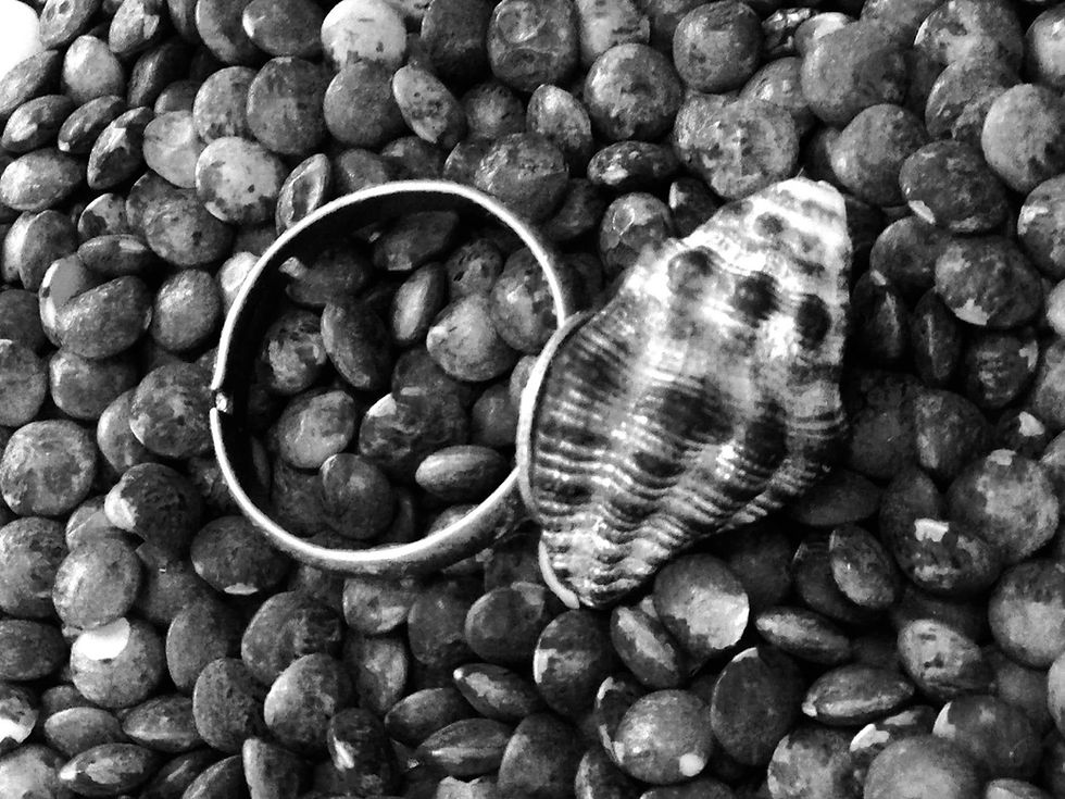 Thumbnail: COQUINUAGE NOIR Bague petit coquillage naturel noir anneau bronze