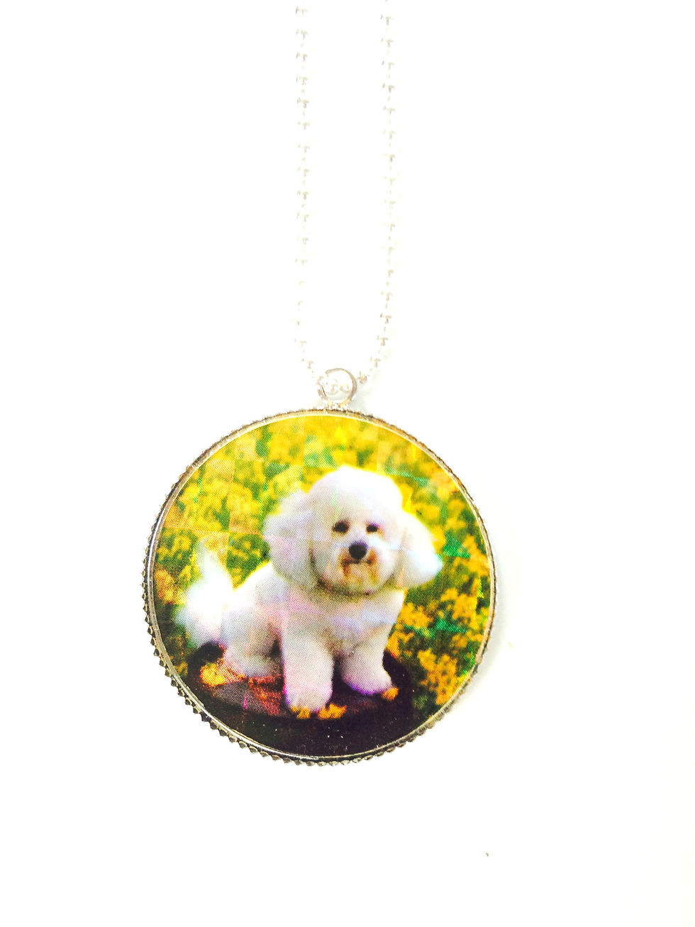 Thumbnail: Sautoir BICHON petit caniche blanc adorable