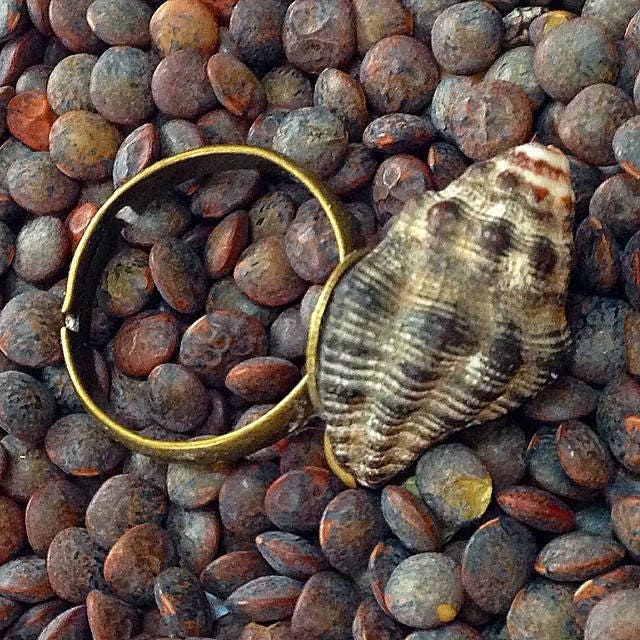 COQUINUAGE NOIR Bague petit coquillage naturel noir anneau bronze