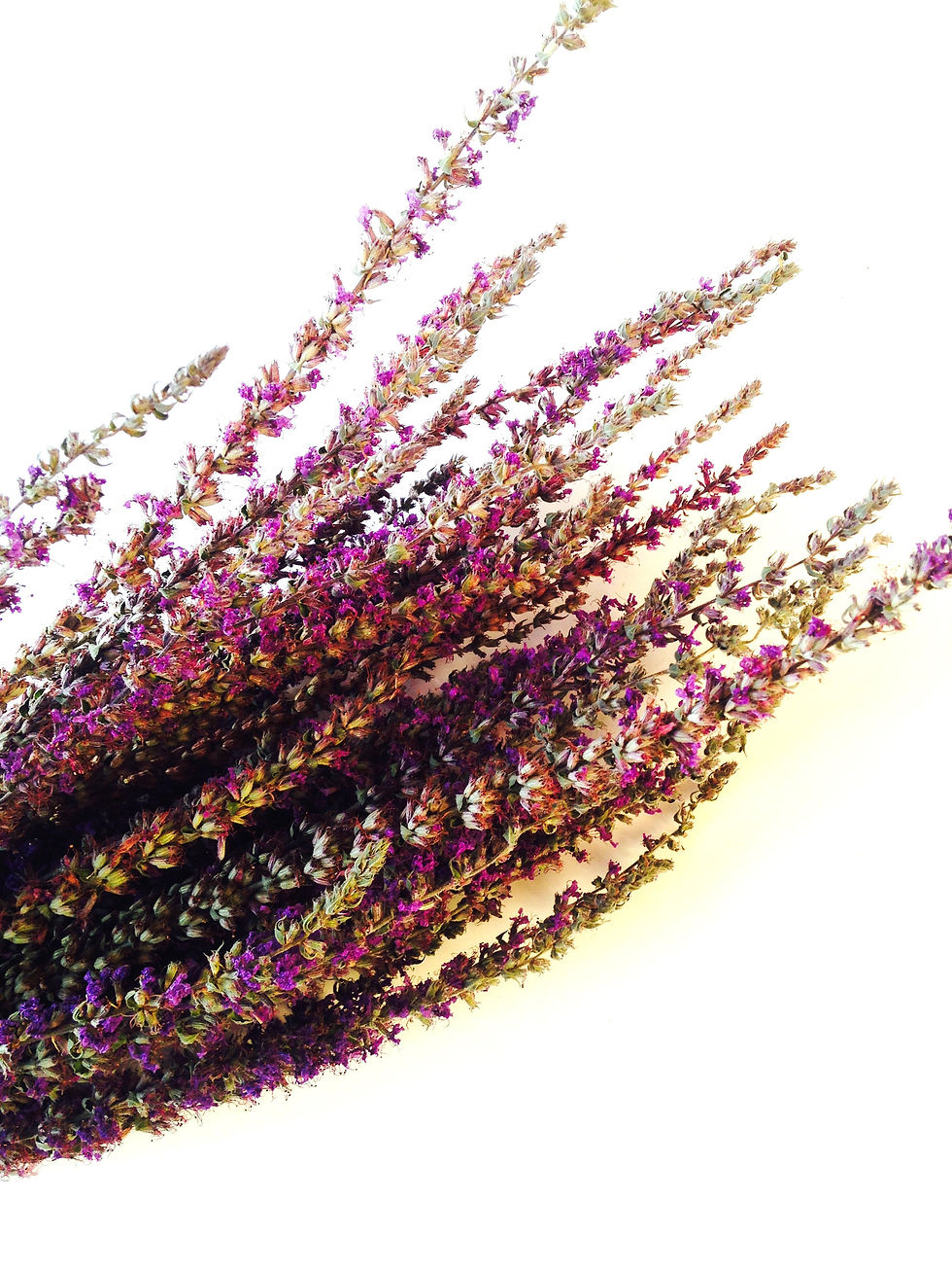 Thumbnail: Bouquet de fleurs séchées, fleurs violettes