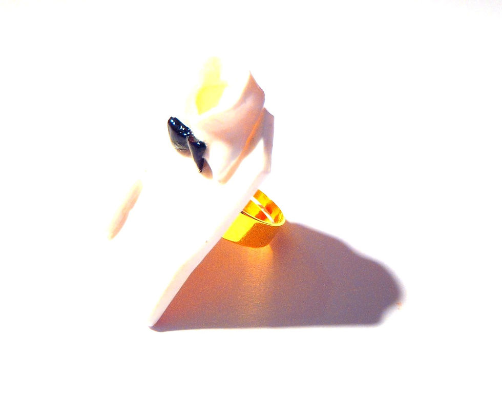 Thumbnail: bague avec anneau dore chemise repliee miniature