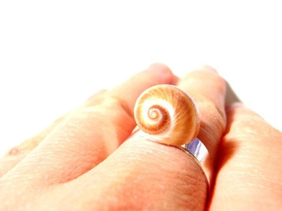 Thumbnail: Bague coquillage RIVAGES coquillage naturel brun foncé