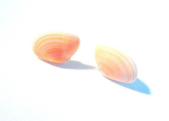 Puces d'oreilles L'HERMITAGE coquillage naturel rose