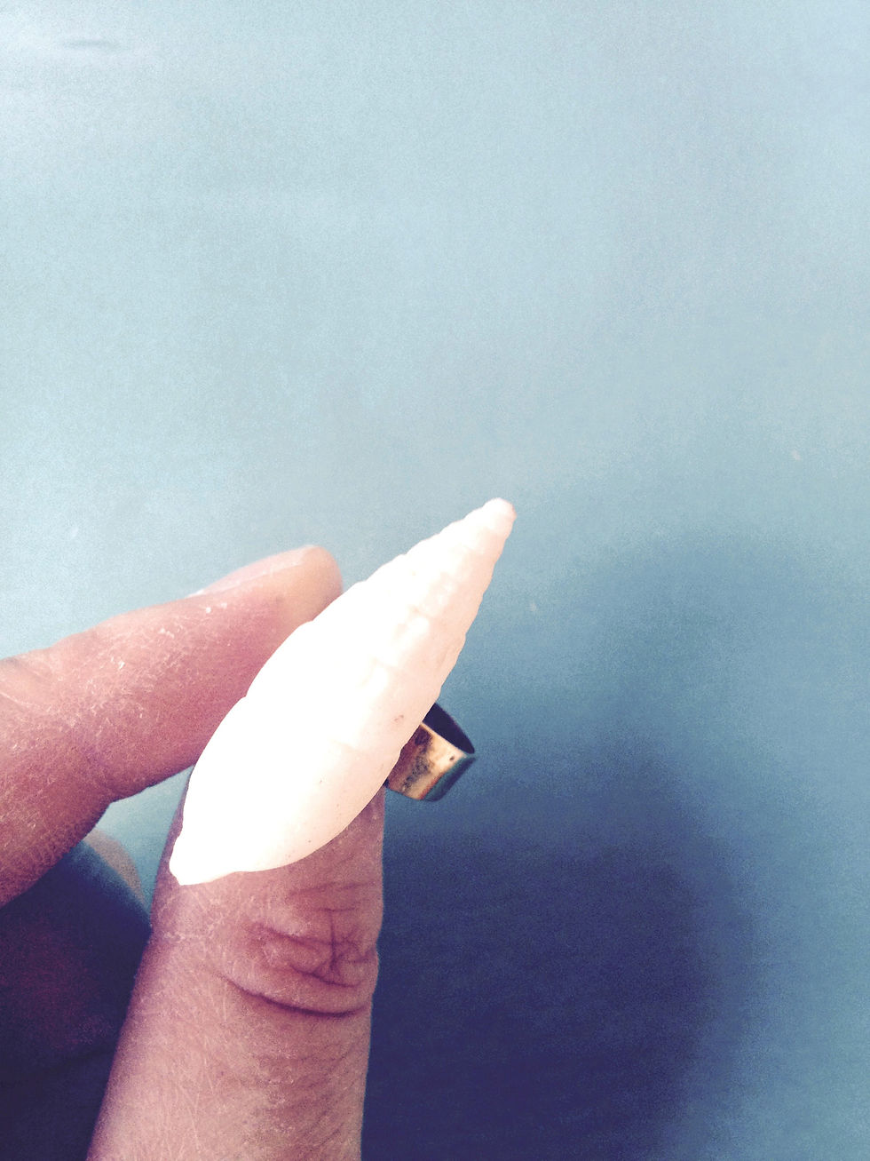 Thumbnail: Bague LICORNE DE MER coquillage tout blanc pointu bague argentée