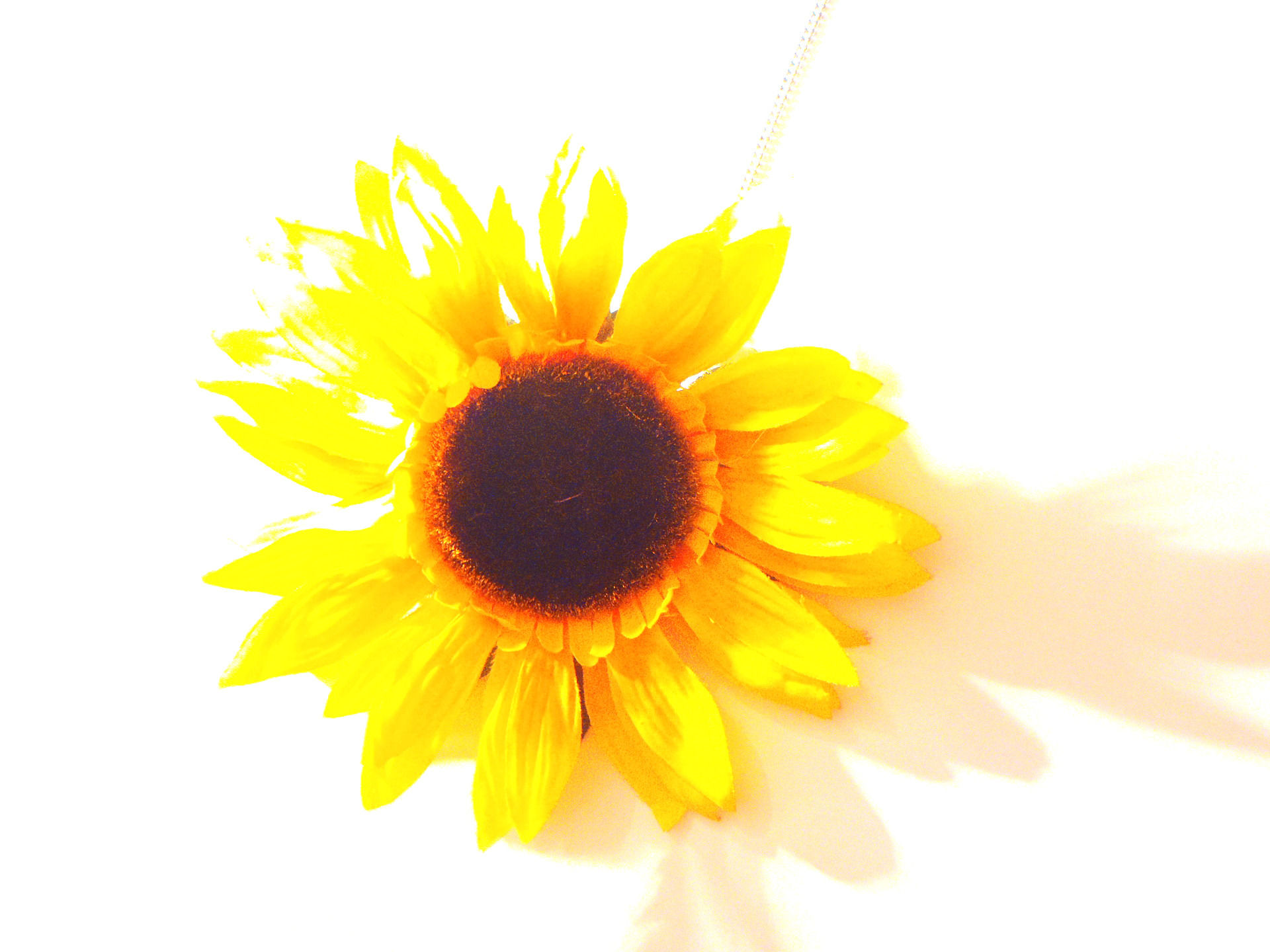 collier tournesol grande fleur