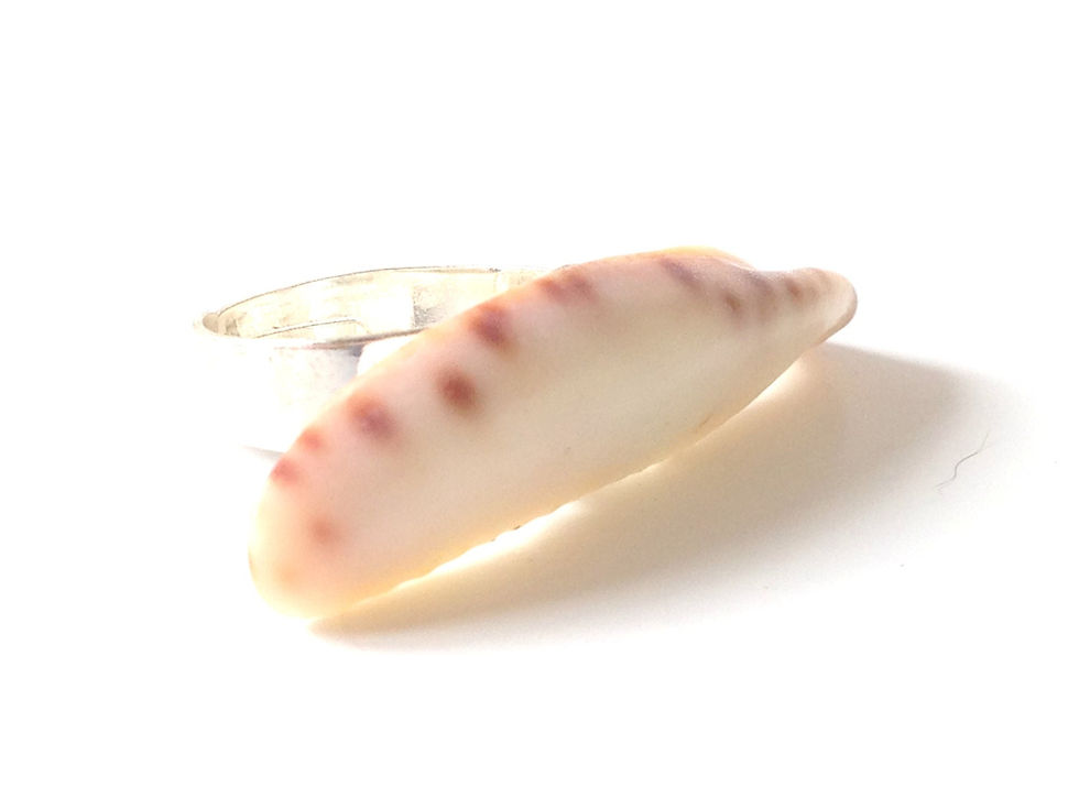 Thumbnail: Bague ÎLES GRECQUES long coquillage de petite taille