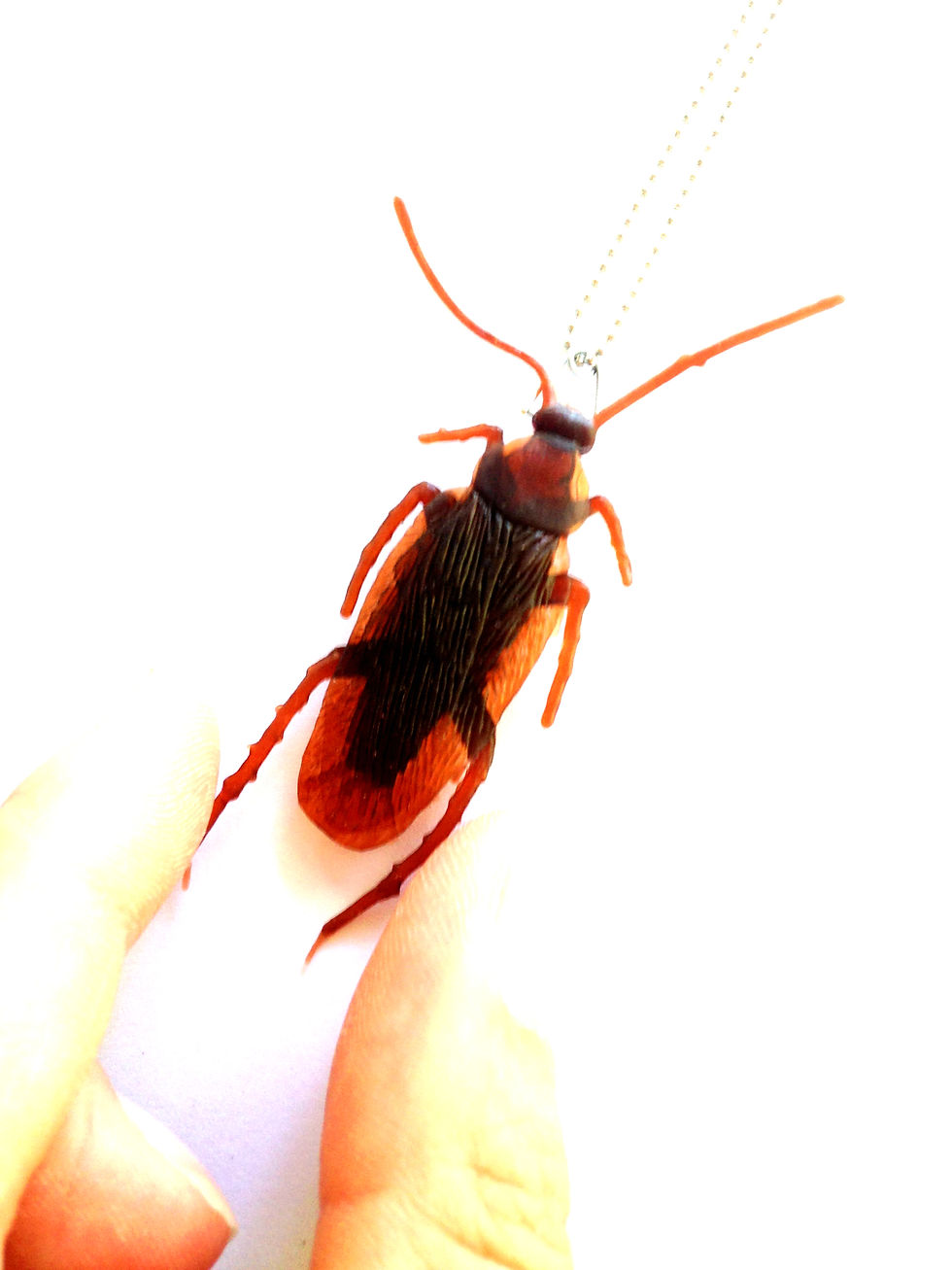 Thumbnail: Sautoir ADIEU, CAFARD cafard insecte grandeur nature