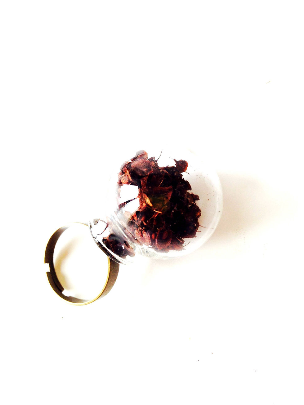 Thumbnail: Bague Balade en forêt globe de verre graines de plante séchée anneau bronze