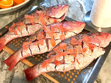 Red Snapper.jpeg
