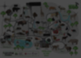 Zoo Map_edited_edited.jpg