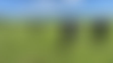 6月26日　練習（江戸川第3G)