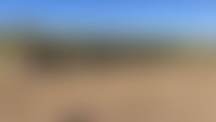 3月15日 通常練習(北小岩G)