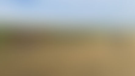 11月13日 練習(江戸川第3G)