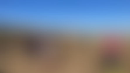 2月5日 公式戦(江戸川第3G)