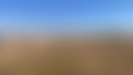 1月24日　練習（江戸川第３G） 