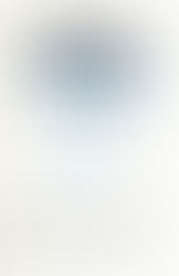 Joseph Stiglitz L'euro