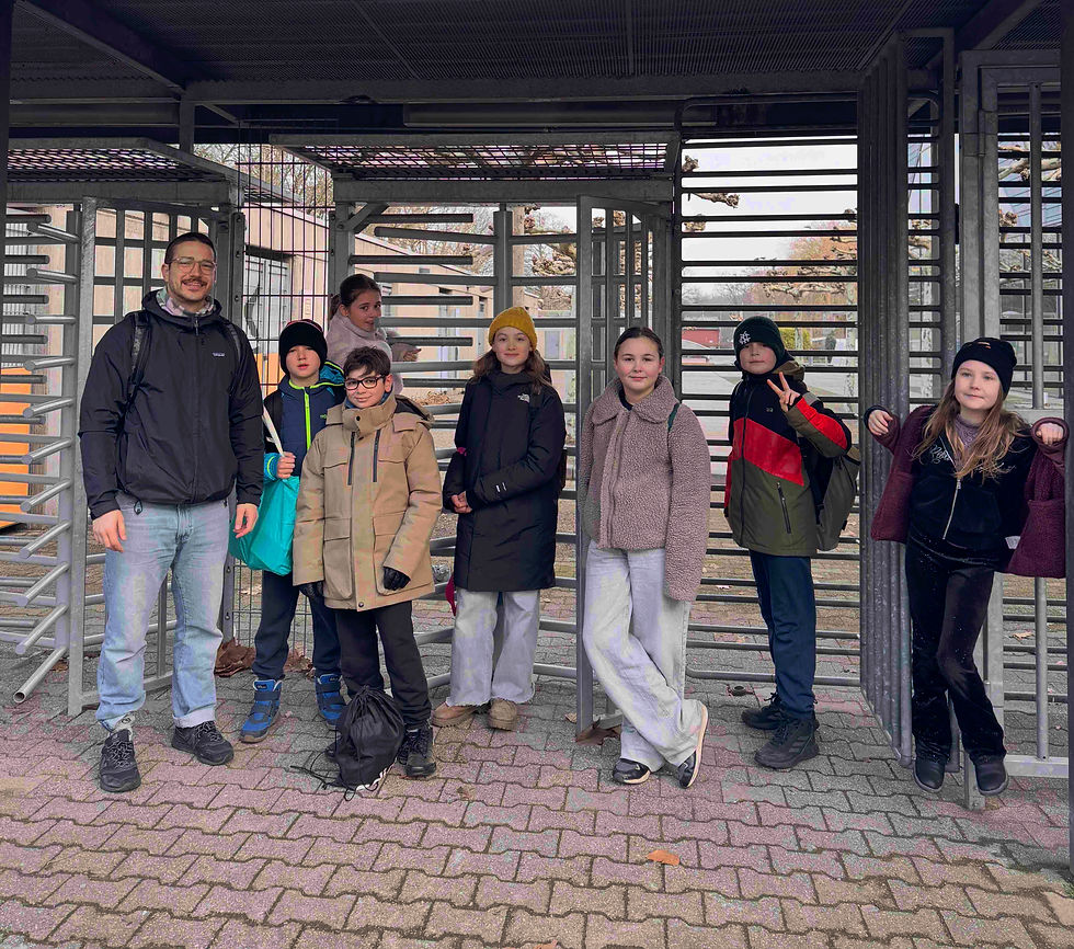 stadtmeisterschaften im schwimmen