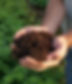 123910968_1075149039595269_7160436893130767100_n.jpeg