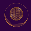 Flowei Logo Purple.png