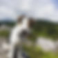 image3 (1).jpeg
