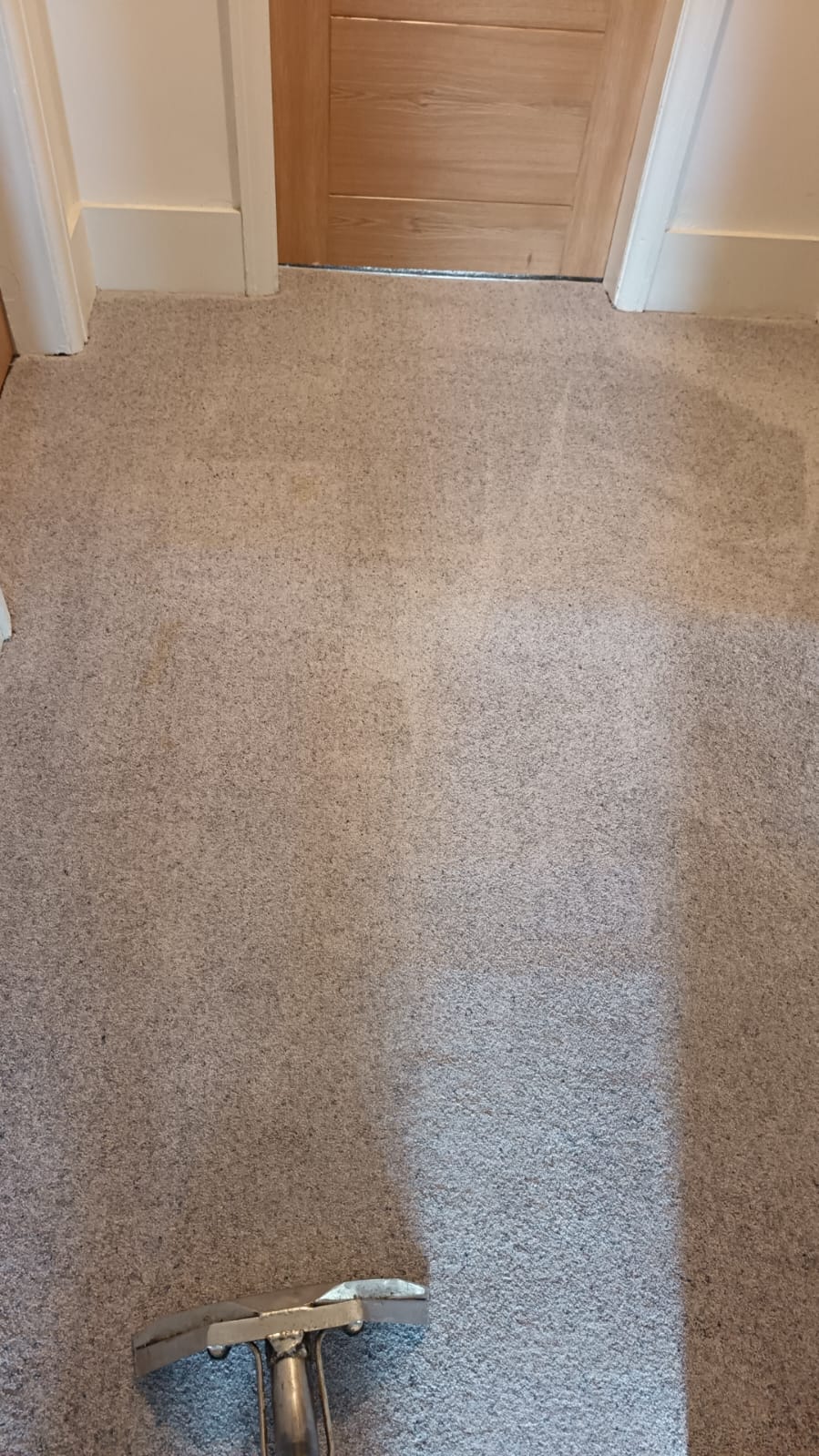 A professional-grade upholstery cleaning attachment working on a soft fabric surface.